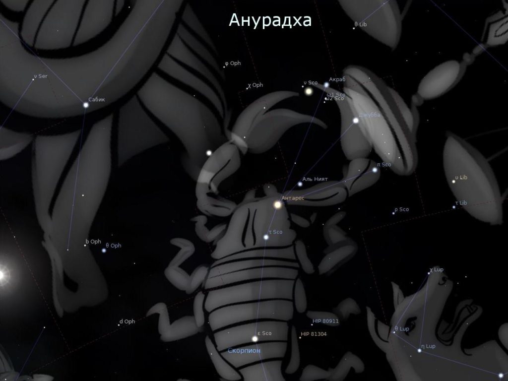 Анурадха в созвездии Скорпиона