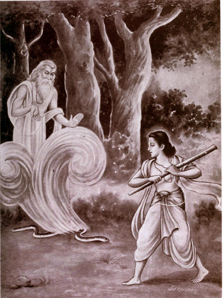 Махабхарата - Увидев Руру, Сахасрапат избавился от проклятия
