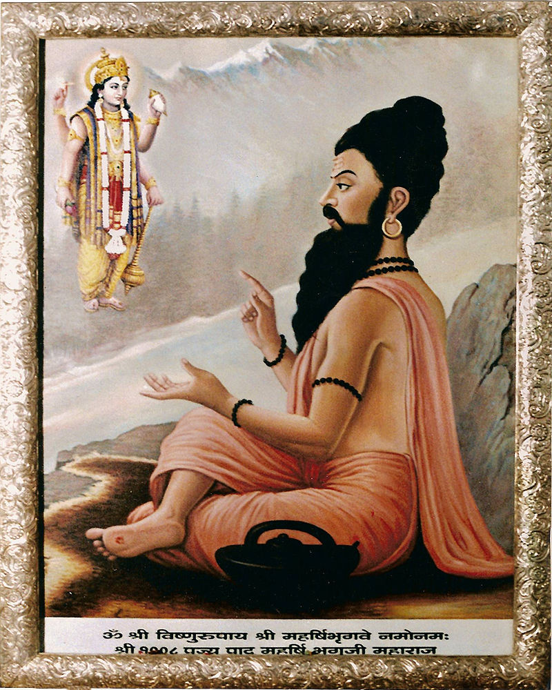 Махабхарата - Бхригу Муни