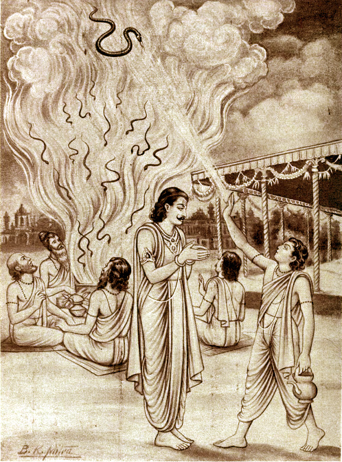 Махабхарата - Астика останавливает жертвоприношение змей
