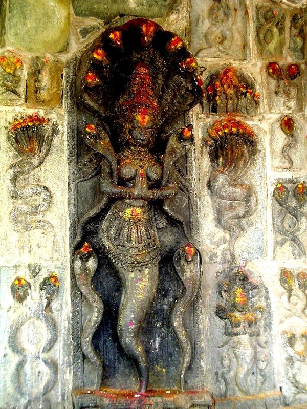 Vахабхарата - Нагини (змея)