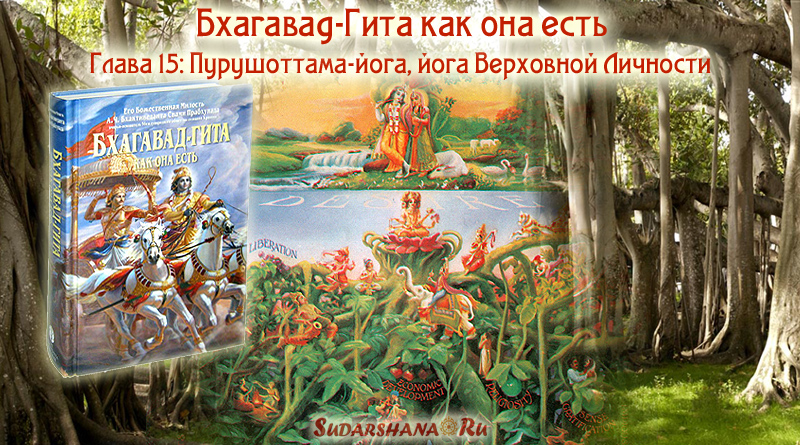 Бхагавад-Гита - глава 15 - Пурушоттама-йога - йога Верховной Личности