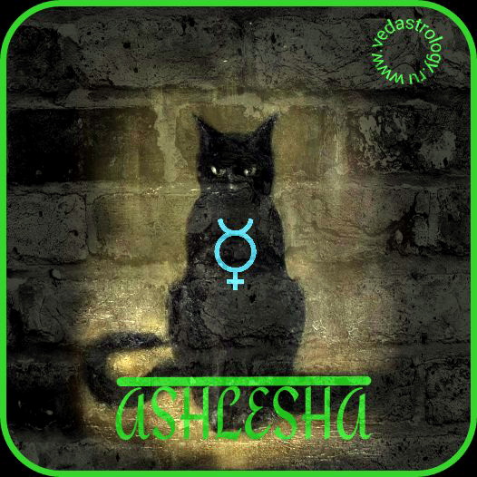 Ашлеша - символ (тотем) - кот