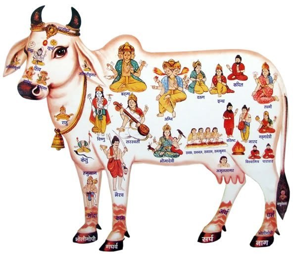 Махабхарата - Небесная корова Камадхену
