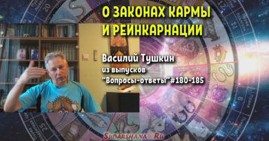 О законах кармы и реинкарнации - Василий Тушкин